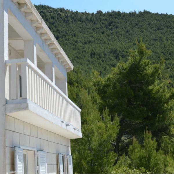 Villa Victor Babino Polje Exterior photo